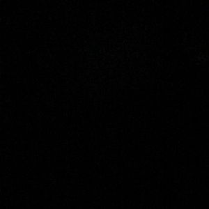 Meet your Posher, Brendon